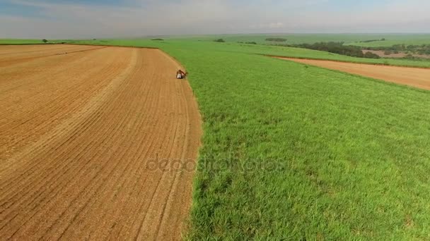 Сверху Вид Грузовика Бегущего Полю Делающего Агрилиминг Посевах Поле — стоковое видео