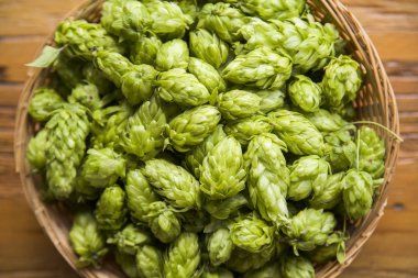 Malzemeler ahşap arka plan ahşap kase ve buğday kulaklara Hop koniler bira bira. Bira bira kavramı