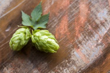 ahşap arka plan yakın çekim izole hop koniler