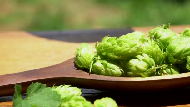 Hops Falling Red Heart Bowl Top View Slow Motion — Stock Video