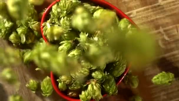 Hopfen Fällt Rote Herzschale Draufsicht Zeitlupe — Stockvideo