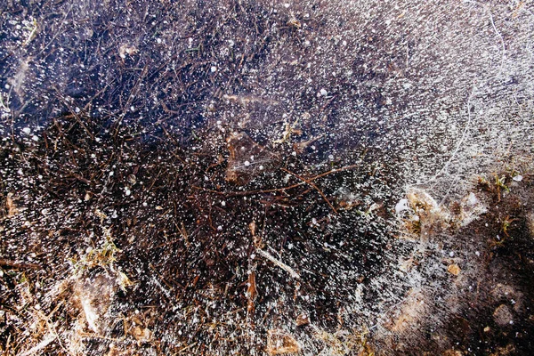氷葉凍結水の背景 — ストック写真