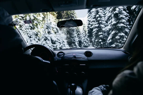 travel by car in winter forest