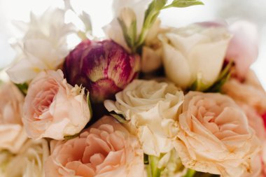 Bahar gül çiçek çiçek