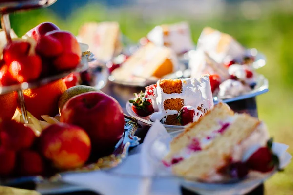 De cake van het heerlijke fruit gesneden — Stockfoto