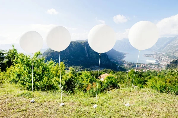 Blue sky adlı beyaz balon sinek — Stok fotoğraf