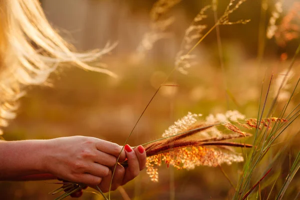 Kır çiçeği buketi yapma kız — Stok fotoğraf