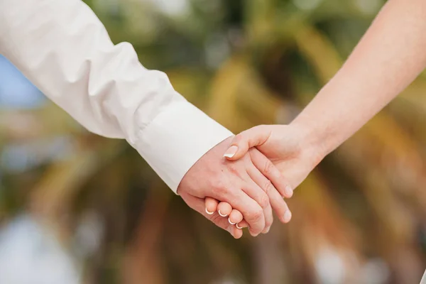 Lovely couple holding hands together Royalty Free Stock Photos