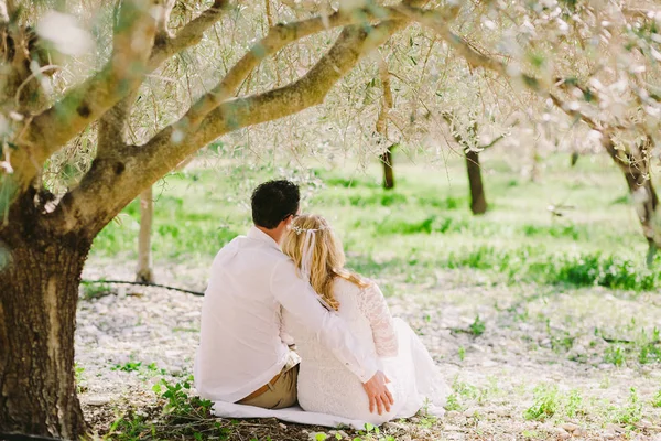 Mariage couple embrasser sous l'arbre — Photo