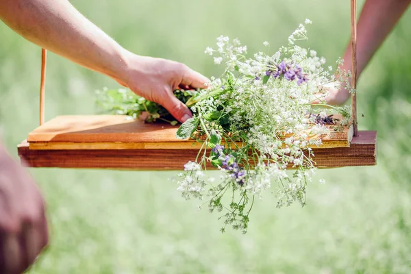 Chica haciendo ramo de flores silvestres — Foto de Stock