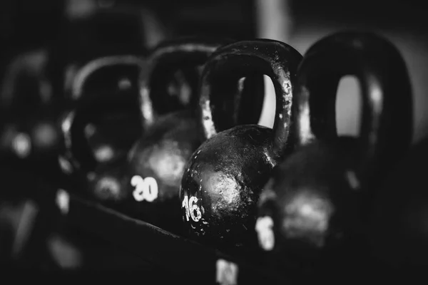 Fitness-Gewichte-Sammlung — Stockfoto