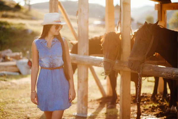 Woman look at horse — Stock Photo, Image