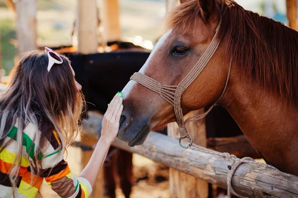 Vrouw huisdieren paard — Stockfoto