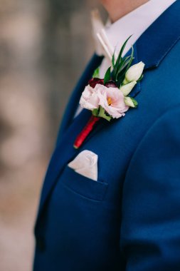 Güllü damat yaka çiçeği