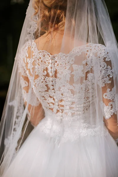 美しいドレスの背面図の花嫁 エレガントな花嫁 — ストック写真