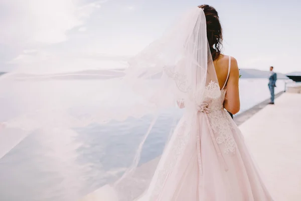 ビーチの美しいドレスの花嫁 — ストック写真