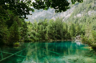 İsviçre 'de mavi göl. İsviçre, Blausee. Ormandaki güzel göl.