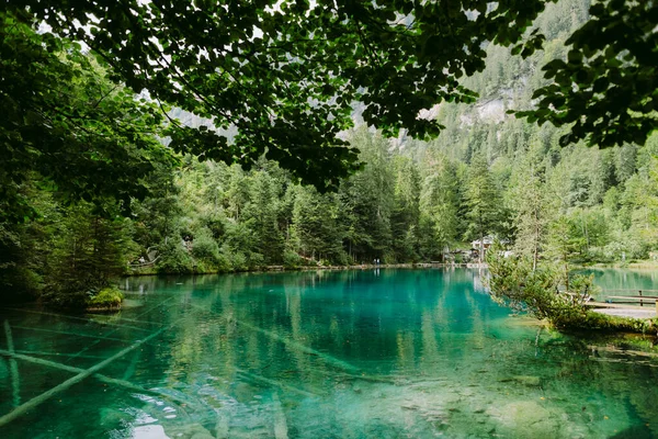Lago Azul Suíça Suíça Blausee Lindo Lago Floresta — Fotografia de Stock