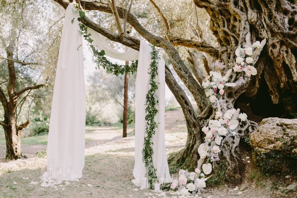 Elegante Arco Bodas Parque Olivos Lugar Recepción Boda Blanco Cerca — Foto de Stock