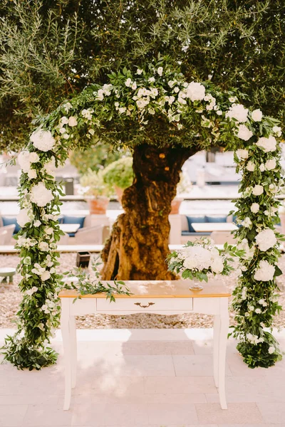 elegant wedding arch in olive trees park . White wedding reception venue. Destination wedding venue. Luxury wedding in the garden.