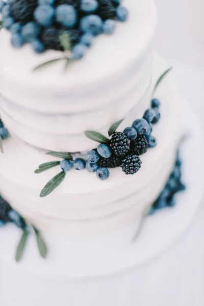 ブルーベリーとブラックベリーの白いウェディングケーキ エレガントな美術結婚式の写真 — ストック写真