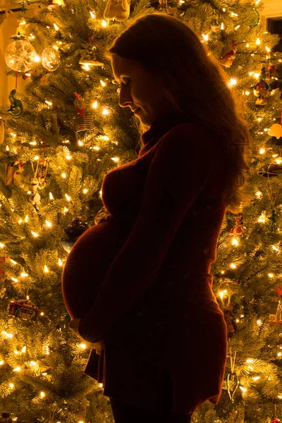Silueta těhotných žen o Vánocích — Stock fotografie