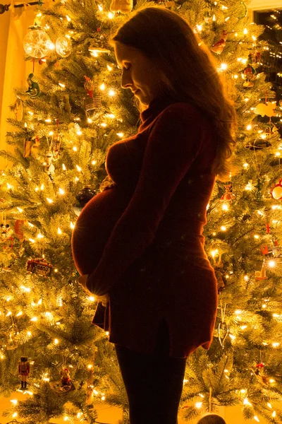 Silhouet van een zwangere vrouwen met Kerstmis — Stockfoto