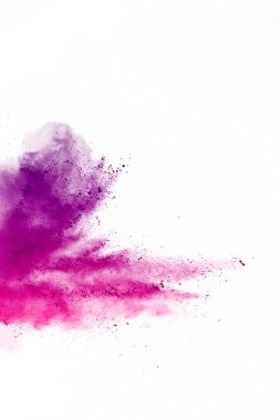 Beyaz arka planda renkli toz patlaması. Mor ve pembe toz sıçraması..