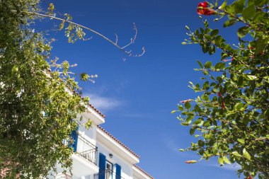 Çalıların arasından evin manzarası.