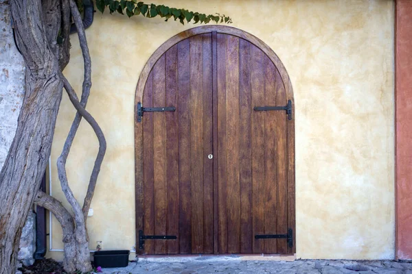 Bella vecchia porta di legno, vicino a un albero cresce — Foto Stock