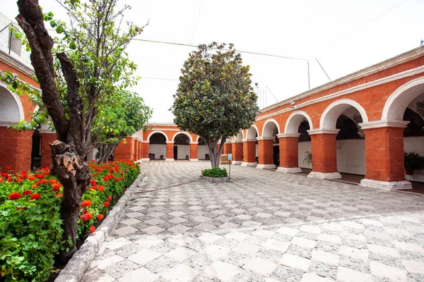Ein baum wächst im hof des klosters Santa Catalina, arequipa, peru — Stockfoto