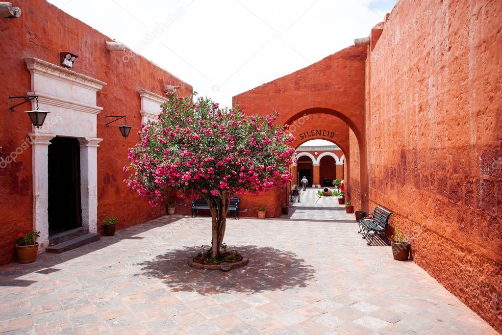 A tree grows in the yard in monastery Saint Catalina, Arequipa, Peru