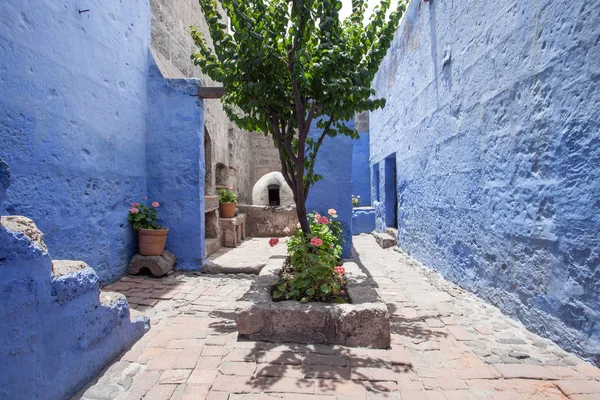 Pátio com paredes azuis e uma árvore no centro do mosteiro de Santa Catalina, Arequipa, Peru — Fotografia de Stock