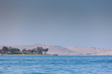 Çöl Dinlenme Konsepti. Palmiye ağaçlarının manzarası ve denizden gelen çöl.