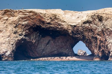 Deniz Aslanı Rookery, Peru 'daki Paracas Ulusal Parkı' ndaki Ballestas Adaları 'nın mağarasında..