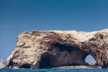 Paracas Ulusal Parkı, Peru, Latin Amerika 'daki Ballestas Adaları' nın mağarasında kumsalda deniz aslanı ve penguen yuvası..