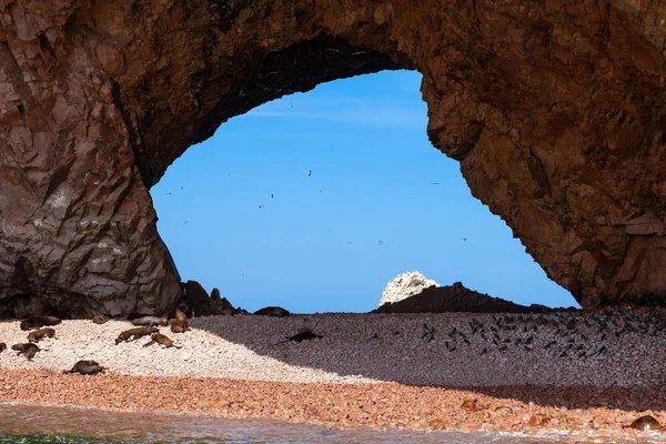 Grote door de grot met een strand waarop zeeleeuwen liggen. Door de grot zie je de blauwe lucht en vogels in de lucht Ballestas Eilanden, Paracas reserv, Peru, Latijns-Amerika. — Stockfoto