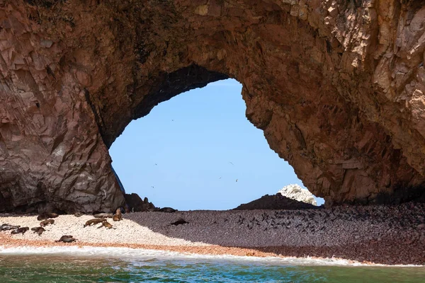 Grote door de grot met een strand waarop zeeleeuwen liggen. Door de grot, vogels in de lucht Ballestas Eilanden, Paracas reserv, Peru, Latijns-Amerika. — Stockfoto