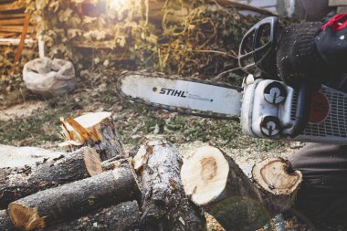 Kiev bölgesi, Ukrayna - 2019-10-05. Adam Stihl testeresiyle ağaç kesiyor, talaş her yöne uçuyor, yakın plan..