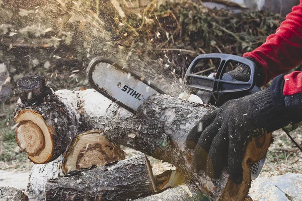 Kiev region, Ucrânia - 2019-10-05. Um homem está serrando uma árvore com uma serra Stihl, serragem voando em todas as direções, close-up . — Fotografia de Stock