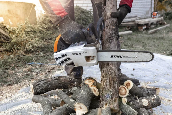 Kiev bölgesi, Ukrayna - 2019-10-05. Adam Stihl testeresiyle ağaç kesiyor, talaş her yöne uçuyor, yakın plan..