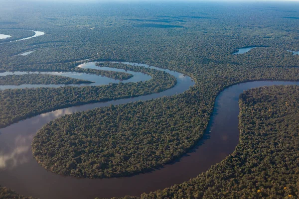 View of the Amazon River from an airplane, dense tropical forest, reflection in the water.