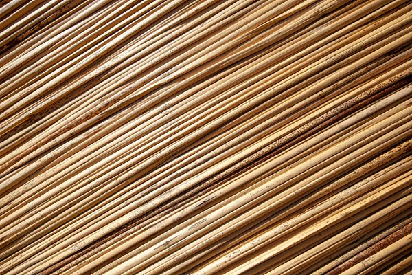 Background with reeds, diagonal, horizontal orientation, close-up, copy paste. — Stock Photo, Image