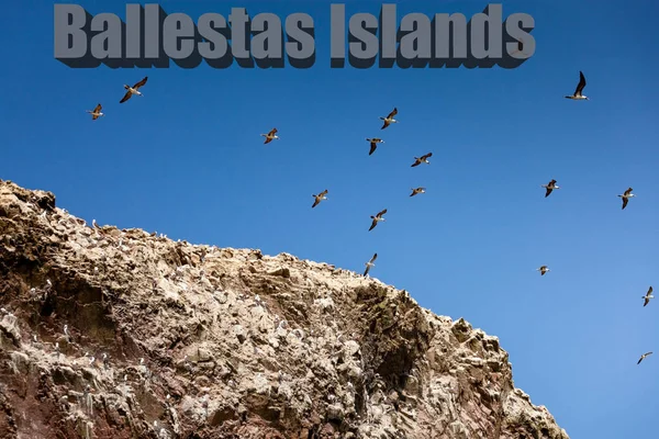 Veel meeuwen in de lucht boven de rots. Inscriptie Ballestas Island, Paracas National Park, Peru — Stockfoto