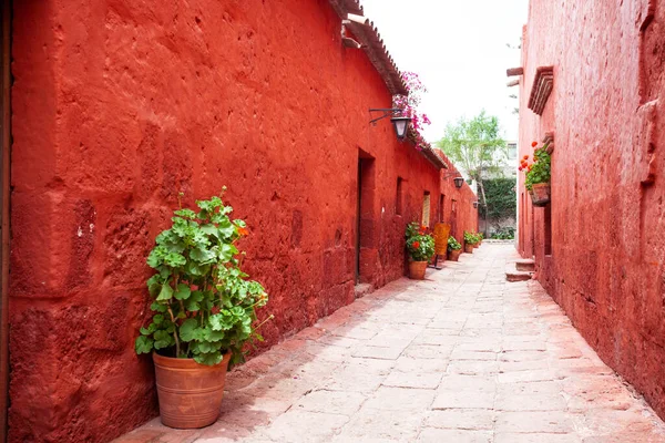 Santa Catalina, Arequipa, Peru manastırındaki sokaklar, eski terracotta duvarları, hücrelerin giriş kapıları, sardunyaların duvarları boyunca.