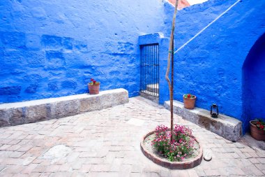 A courtyard with blue walls, in the center a tree grows, along the walls a couple of flower pots, a lamp.