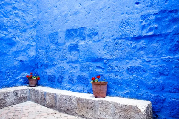 Courtyard with blue walls, indigo, along the wall two pots with geraniums. — 스톡 사진
