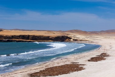 Sahil Koyu Paracas, Peru, Ulusal Rezerv, Körfez