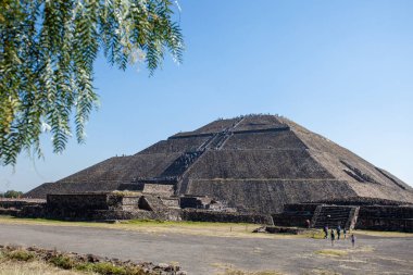 2019-11-25 Teotihuacan, Meksika. Güneş piramidinin ön plandaki ağaç yaprağında görüntüsü.