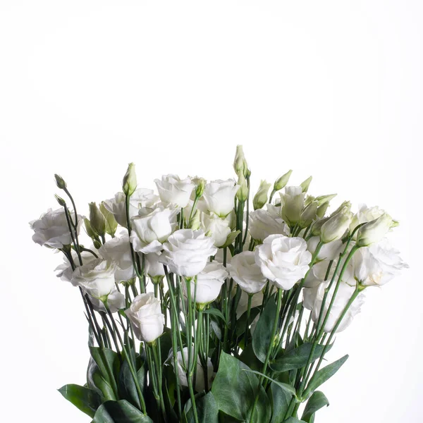 Bouquet d'eustomes blanches sur fond blanc . — Photo